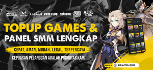 Read more about the article Rajaitem : Jasa Website Topup Games Profesional dan Terpercaya