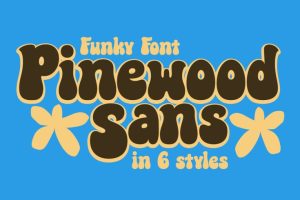 font instagram Funky Rounded