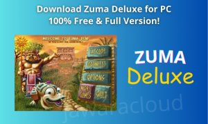 thummbnail zuma duluxe for pc jawaracloud